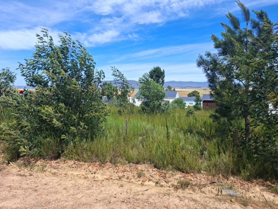 Commercial Property for Sale in Caledon Western Cape